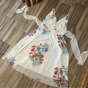 B Dakota XXL Sleeveless V Neck Lined Dress Semi Sheer Peacocks Bridge Floral EUC